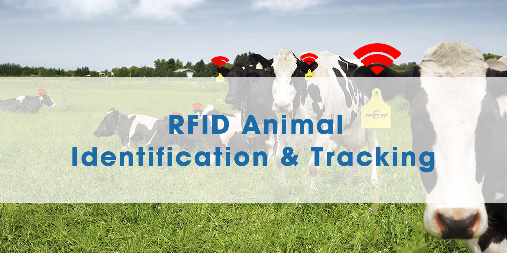 RFID Animal Tracking and Identification - Xinyetong