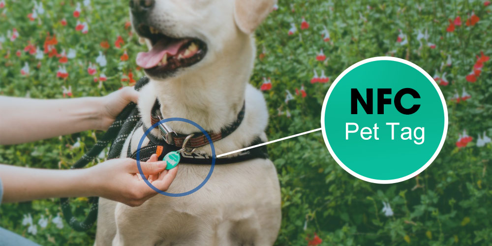 Manage your pets with NFC tags