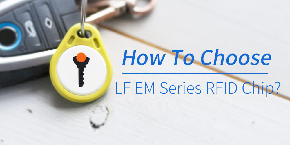 LF EM Series RFID Chip